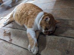 なめがわダイビングサービスに投稿された画像(2025/12/17)