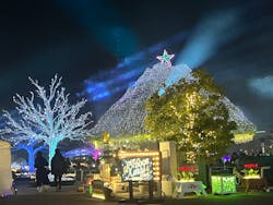 東京メガイルミに投稿された画像(2025/12/18)