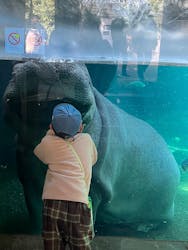 天王寺動物園に投稿された画像(2025/12/18)