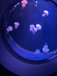 マリンワールド海の中道に投稿された画像(2025/12/18)