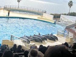 マリンワールド海の中道に投稿された画像(2025/12/18)