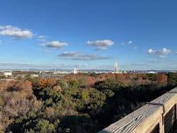 万博記念公園に投稿された画像(2025/12/18)