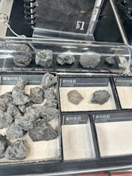 福井県立恐竜博物館に投稿された画像(2025/12/18)