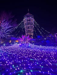 江の島シーキャンドルに投稿された画像(2025/12/18)