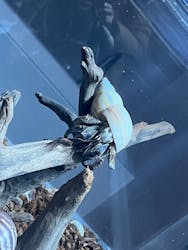 AOAO SAPPOROに投稿された画像(2025/12/18)