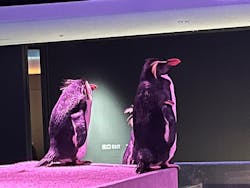 AOAO SAPPOROに投稿された画像(2025/12/18)