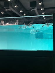 AOAO SAPPOROに投稿された画像(2025/12/18)