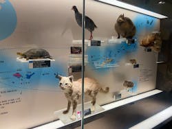 国立科学博物館に投稿された画像(2025/12/18)