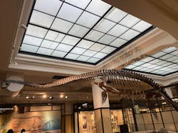 国立科学博物館に投稿された画像(2025/12/18)