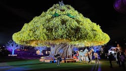 東京メガイルミに投稿された画像(2025/12/18)