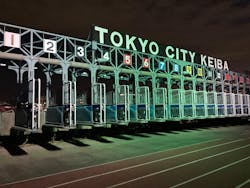 東京メガイルミに投稿された画像(2025/12/18)