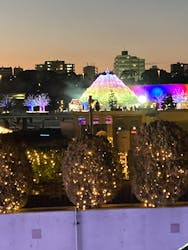 東京メガイルミに投稿された画像(2025/12/18)