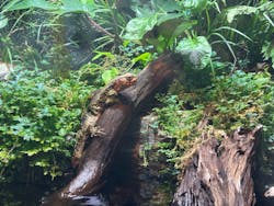 マクセル アクアパーク品川に投稿された画像(2025/12/18)