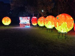 大阪城イルミナージュに投稿された画像(2025/12/18)