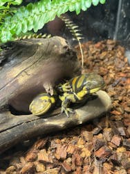 AOAO SAPPOROに投稿された画像(2025/12/19)