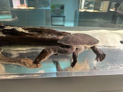 AOAO SAPPOROに投稿された画像(2025/12/19)