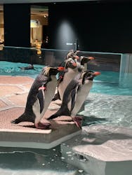 AOAO SAPPOROに投稿された画像(2025/12/19)