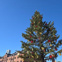 Christmas Market in 横浜赤レンガ倉庫 2025に投稿された画像(2025/12/19)