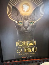 IMMERSIVE JOURNEYに投稿された画像(2025/12/19)