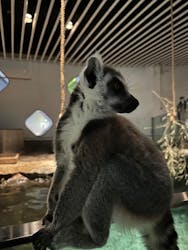 NIFREL(ニフレル)に投稿された画像(2025/12/19)