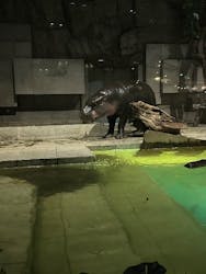 NIFREL(ニフレル)に投稿された画像(2025/12/19)