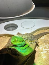 NIFREL(ニフレル)に投稿された画像(2025/12/19)