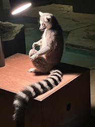 NIFREL(ニフレル)に投稿された画像(2025/12/19)