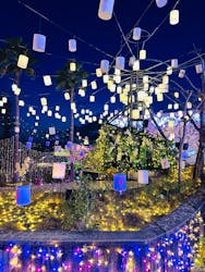 ひらかたパークに投稿された画像(2025/12/19)