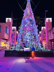 ひらかたパークに投稿された画像(2025/12/19)