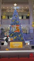 横浜ランドマークタワー 69階展望フロア スカイガーデンに投稿された画像(2025/12/20)