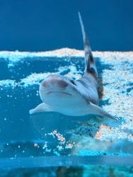 アクアワールド茨城県大洗水族館に投稿された画像(2025/12/20)