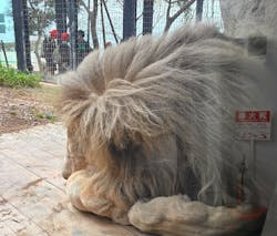 沖縄こどもの国に投稿された画像(2025/12/20)