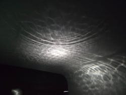 NIFREL(ニフレル)に投稿された画像(2025/12/20)