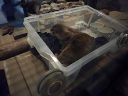 NIFREL(ニフレル)に投稿された画像(2025/12/20)