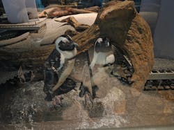 NIFREL(ニフレル)に投稿された画像(2025/12/20)