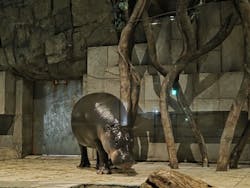 NIFREL(ニフレル)に投稿された画像(2025/12/20)