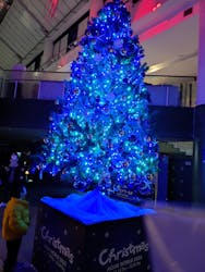 アクアワールド茨城県大洗水族館に投稿された画像(2025/12/20)