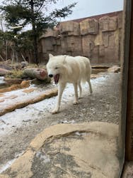 那須どうぶつ王国に投稿された画像(2025/12/20)