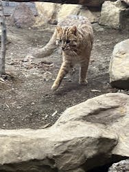 那須どうぶつ王国に投稿された画像(2025/12/20)