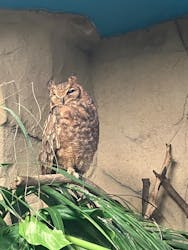 那須どうぶつ王国に投稿された画像(2025/12/20)