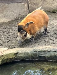 那須どうぶつ王国に投稿された画像(2025/12/20)