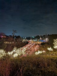 西武園ゆうえんちに投稿された画像(2025/12/20)