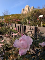 西武園ゆうえんちに投稿された画像(2025/12/20)