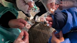 Christmas Market in 横浜赤レンガ倉庫 2025に投稿された画像(2025/12/20)