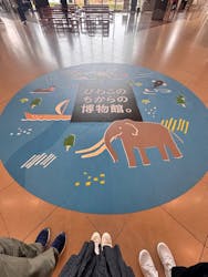 滋賀県立琵琶湖博物館に投稿された画像(2025/12/20)