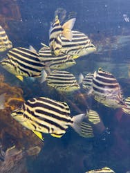 アクアワールド茨城県大洗水族館に投稿された画像(2025/12/20)