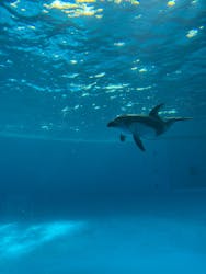 アクアワールド茨城県大洗水族館に投稿された画像(2025/12/20)