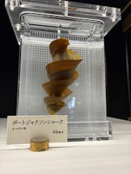 アクアワールド茨城県大洗水族館に投稿された画像(2025/12/20)