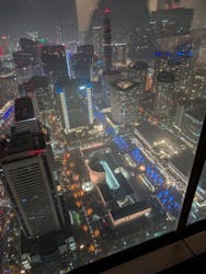 横浜ランドマークタワー 69階展望フロア スカイガーデンに投稿された画像(2025/12/21)