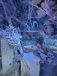 ひらかたパークに投稿された画像(2025/12/21)